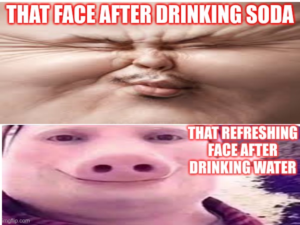 ha | THAT FACE AFTER DRINKING SODA; THAT REFRESHING FACE AFTER DRINKING WATER | image tagged in lol | made w/ Imgflip meme maker