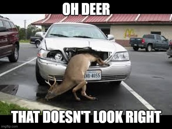 oh deer | OH DEER; THAT DOESN'T LOOK RIGHT | image tagged in oh dear | made w/ Imgflip meme maker