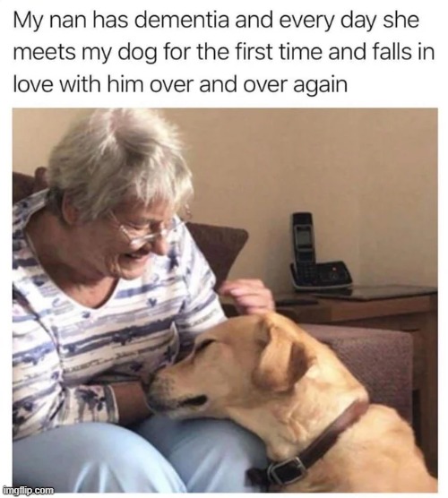 That's so sweet | image tagged in wholesome | made w/ Imgflip meme maker