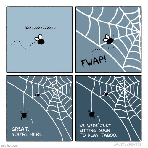 Spiderweb | image tagged in wholesome,comics/cartoons | made w/ Imgflip meme maker