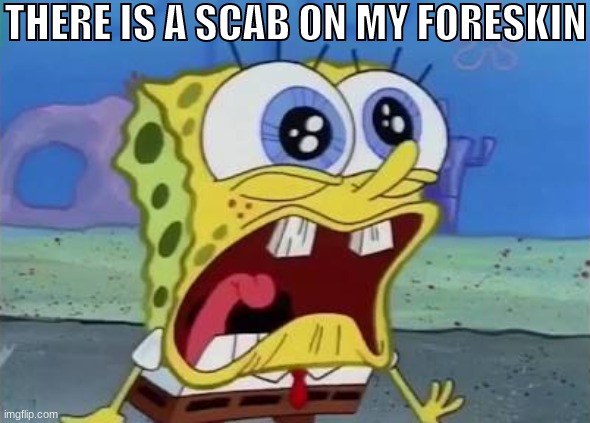 Spongebob crying/screaming | THERE IS A SCAB ON MY FORESKIN | image tagged in spongebob crying/screaming | made w/ Imgflip meme maker