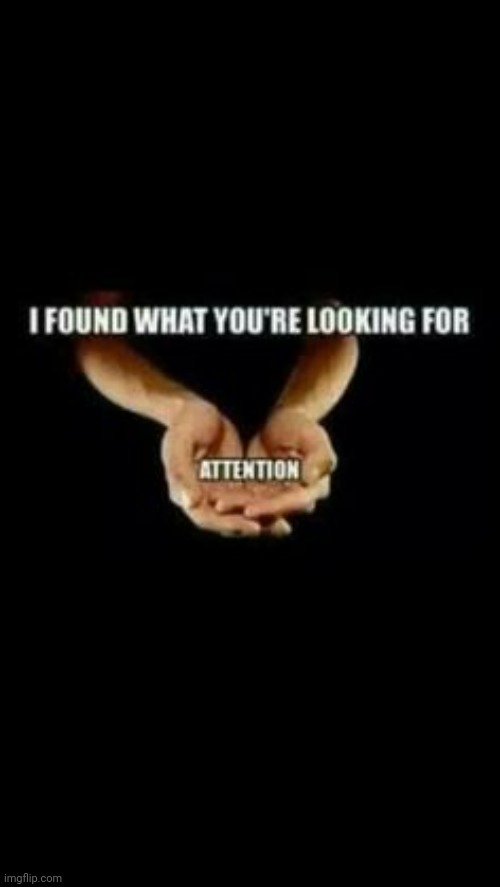 I Found What You Were Looking For Attention | image tagged in i found what you were looking for attention | made w/ Imgflip meme maker