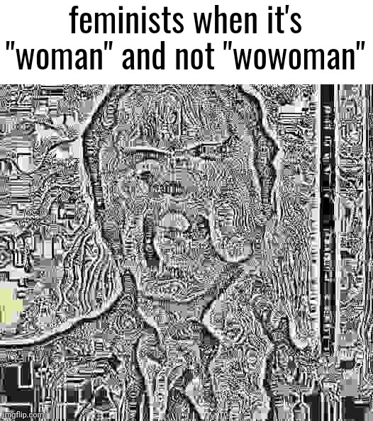 Dwight Screaming | feminists when it's "woman" and not "wowoman" | made w/ Imgflip meme maker