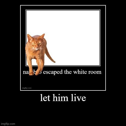 image tagged in demotivationals | made w/ Imgflip demotivational maker