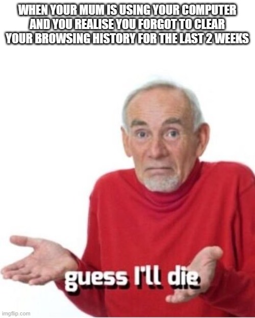 There are things on my browsing history I'm not proud of | WHEN YOUR MUM IS USING YOUR COMPUTER AND YOU REALISE YOU FORGOT TO CLEAR YOUR BROWSING HISTORY FOR THE LAST 2 WEEKS | image tagged in guess i'll die,computer,computers,mother,mum,history | made w/ Imgflip meme maker