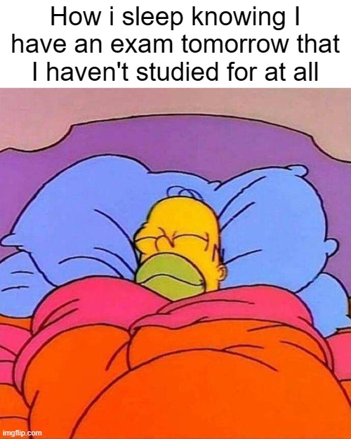 Not that big of a deal... right? | How i sleep knowing I have an exam tomorrow that I haven't studied for at all | image tagged in homer napping,school,exam,exams,sleep,nap | made w/ Imgflip meme maker