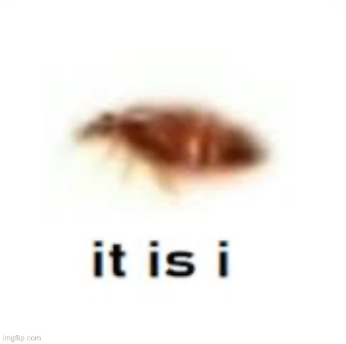It is i | made w/ Imgflip meme maker