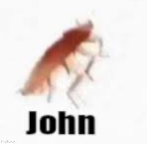 John | made w/ Imgflip meme maker