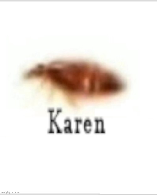 Karen | made w/ Imgflip meme maker