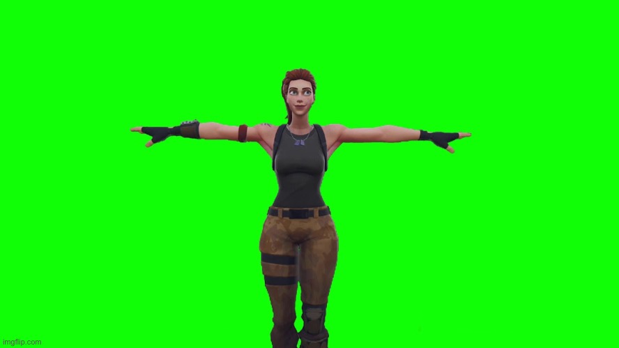 Not funny Fortnite T pose top text bottom text | image tagged in not funny fortnite t pose top text bottom text | made w/ Imgflip meme maker