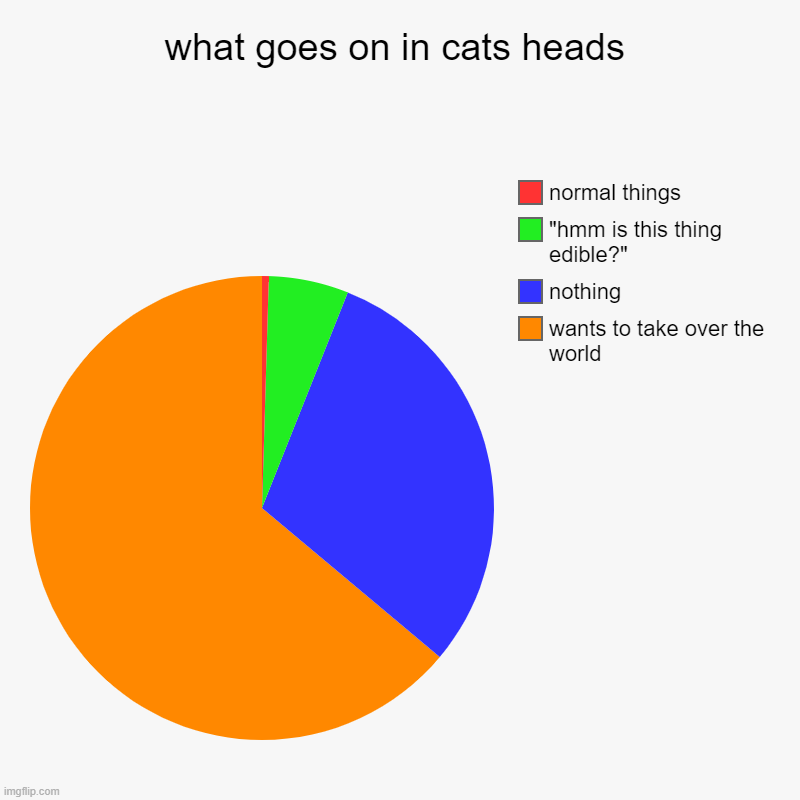 what goes on in cats heads | wants to take over the world, nothing, "hmm is this thing edible?", normal things | image tagged in charts,pie charts | made w/ Imgflip chart maker