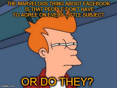 Futurama Fry | THE MARVELOUS THING ABOUT FACEBOOK IS THAT PEOPLE DON'T HAVE TO AGREE ON EVERY LITTLE SUBJECT  OR DO THEY? | image tagged in memes,futurama fry,facebook | made w/ Imgflip meme maker