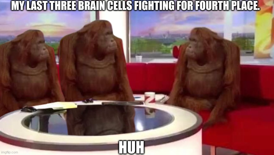 where monkey | MY LAST THREE BRAIN CELLS FIGHTING FOR FOURTH PLACE. HUH | image tagged in where monkey | made w/ Imgflip meme maker