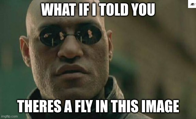 yes there is | WHAT IF I TOLD YOU; THERES A FLY IN THIS IMAGE | image tagged in memes,matrix morpheus,fly,mosquito,mosquitoes,what if i told you | made w/ Imgflip meme maker