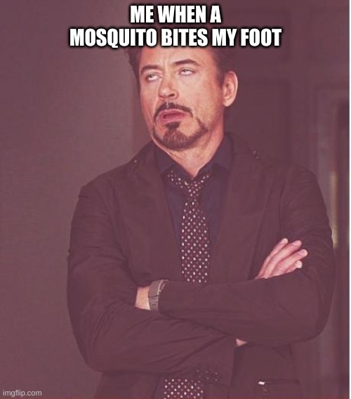 Face You Make Robert Downey Jr | ME WHEN A MOSQUITO BITES MY FOOT | image tagged in memes,face you make robert downey jr | made w/ Imgflip meme maker