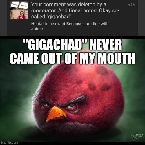Really didn't | "GIGACHAD" NEVER CAME OUT OF MY MOUTH | image tagged in realistic angry bird big red | made w/ Imgflip meme maker