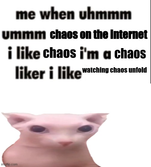 chaos on the internet chaos chaos watching chaos unfold | image tagged in i like | made w/ Imgflip meme maker