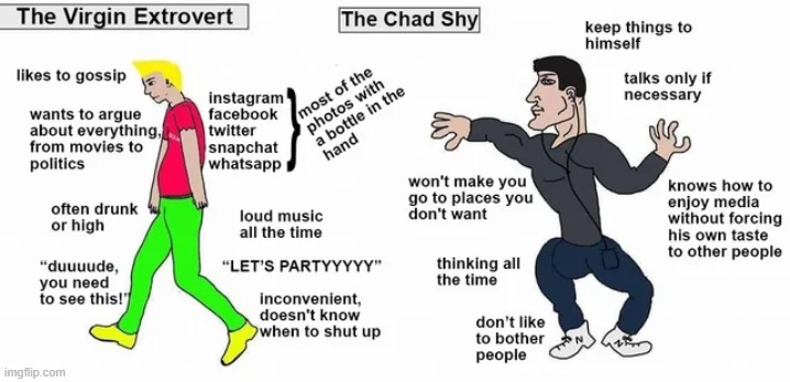 image tagged in virgin vs chad,memes | made w/ Imgflip meme maker