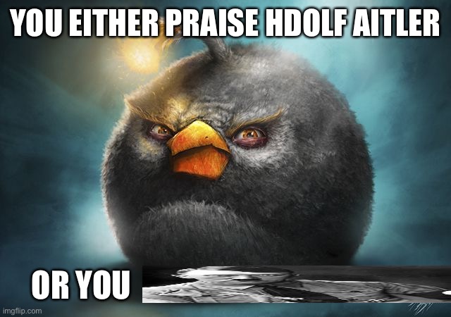 Imsooriginalyippeeyay? | YOU EITHER PRAISE HDOLF AITLER; OR YOU | image tagged in angry birds bomb,balls | made w/ Imgflip meme maker