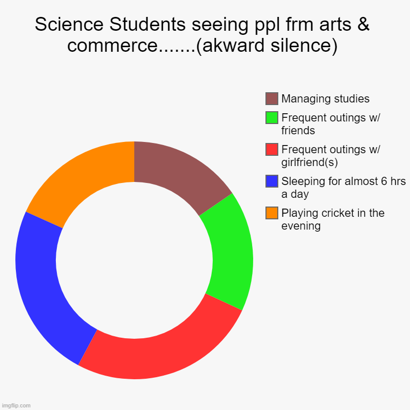 When Science Students seeing ppl frm arts & commerce.......(akward silence) | Science Students seeing ppl frm arts & commerce.......(akward silence) | Playing cricket in the evening, Sleeping for almost 6 hrs a day, Fr | image tagged in charts,donut charts | made w/ Imgflip chart maker