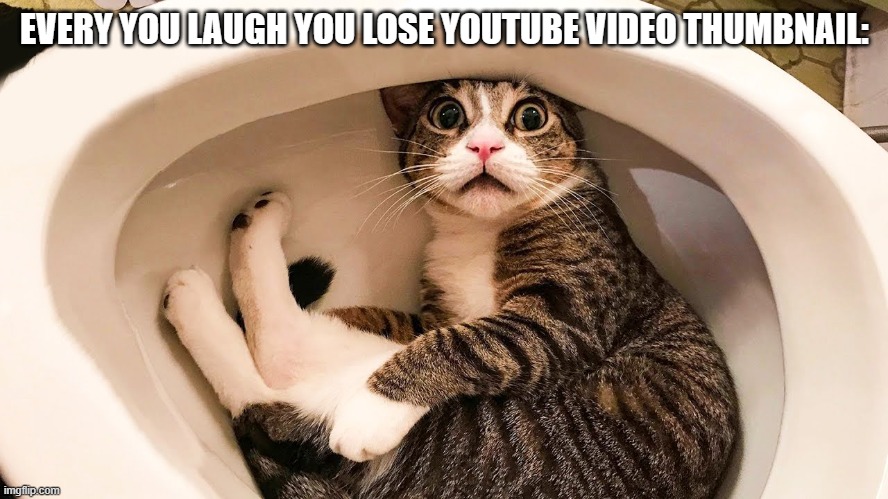 Fr tho... Every single ONE :I | EVERY YOU LAUGH YOU LOSE YOUTUBE VIDEO THUMBNAIL: | image tagged in cat,youtube,thumbnail | made w/ Imgflip meme maker