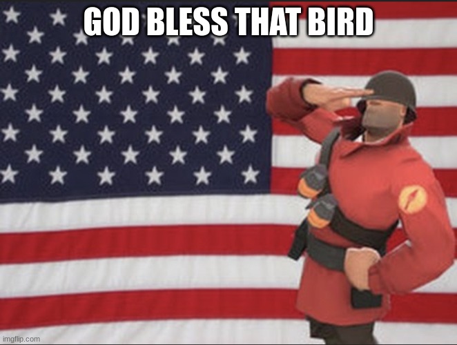 Soldier tf2 | GOD BLESS THAT BIRD | image tagged in soldier tf2 | made w/ Imgflip meme maker