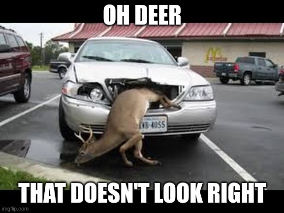 title | OH DEER; THAT DOESN'T LOOK RIGHT | image tagged in memes,funny,eyeroll | made w/ Imgflip meme maker