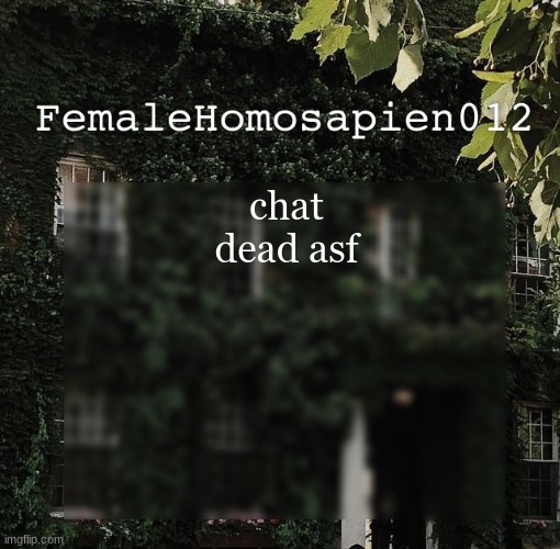 FemaleHomosapien012 | chat dead asf | image tagged in femalehomosapien012 | made w/ Imgflip meme maker