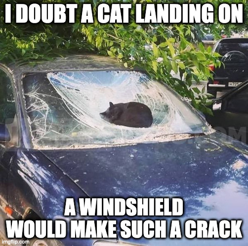 Cat on Windshield Crack | I DOUBT A CAT LANDING ON; A WINDSHIELD WOULD MAKE SUCH A CRACK | image tagged in cats,cars,memes | made w/ Imgflip meme maker