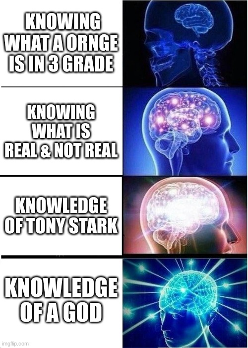 facks | KNOWING WHAT A ORNGE IS IN 3 GRADE; KNOWING WHAT IS REAL & NOT REAL; KNOWLEDGE OF TONY STARK; KNOWLEDGE OF A GOD | image tagged in memes,expanding brain | made w/ Imgflip meme maker