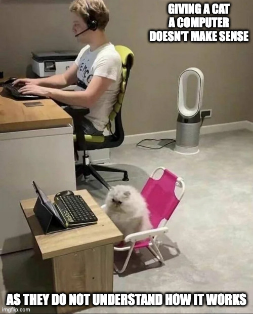 Cat With Computer | GIVING A CAT A COMPUTER DOESN'T MAKE SENSE; AS THEY DO NOT UNDERSTAND HOW IT WORKS | image tagged in cats,memes | made w/ Imgflip meme maker