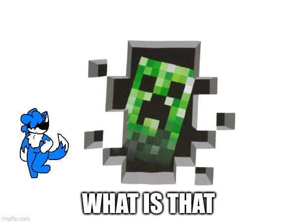 what the hell | WHAT IS THAT | image tagged in minecraft | made w/ Imgflip meme maker