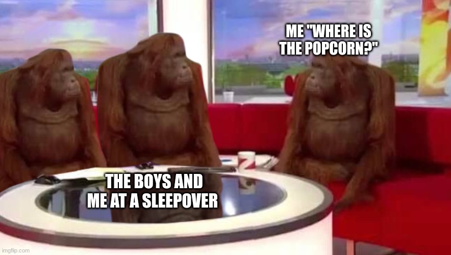 where monkey | ME "WHERE IS THE POPCORN?"; THE BOYS AND ME AT A SLEEPOVER | image tagged in where monkey,lol so funny | made w/ Imgflip meme maker