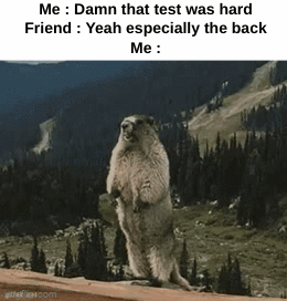 "THE WHAT!?!?" | Me : Damn that test was hard
Friend : Yeah especially the back
Me :; HUH ? | image tagged in gifs,memes,funny,relatable,fail,front page plz | made w/ Imgflip video-to-gif maker