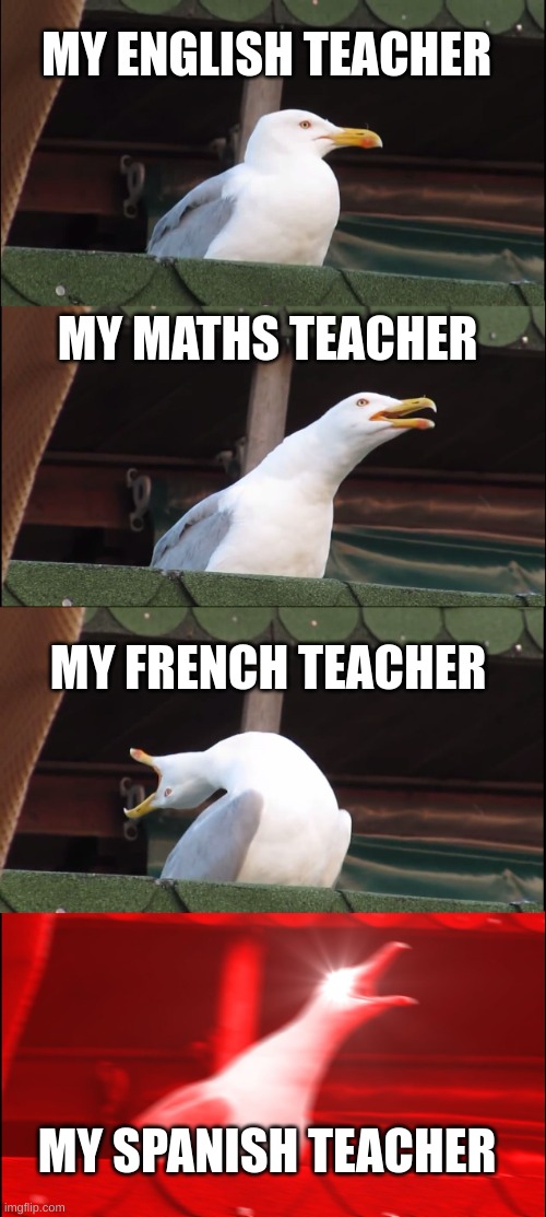 Different types of teachers | MY ENGLISH TEACHER; MY MATHS TEACHER; MY FRENCH TEACHER; MY SPANISH TEACHER | image tagged in memes,inhaling seagull | made w/ Imgflip meme maker
