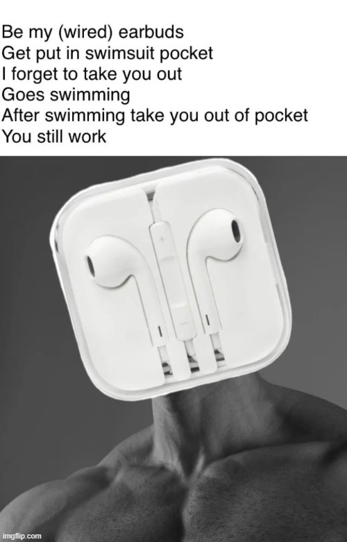 image tagged in memes | made w/ Imgflip meme maker