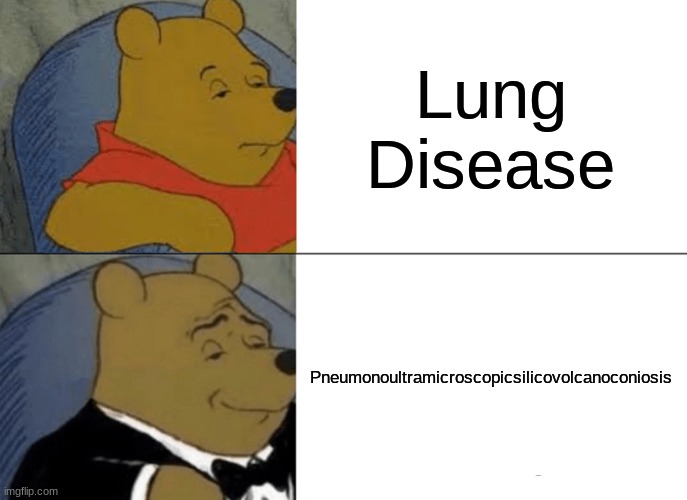 yes | Lung Disease; Pneumonoultramicroscopicsilicovolcanoconiosis | image tagged in memes,tuxedo winnie the pooh | made w/ Imgflip meme maker