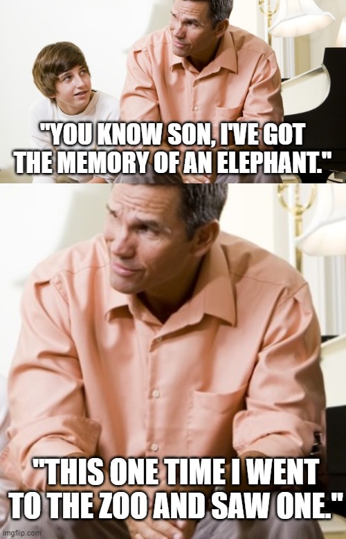"YOU KNOW SON, I'VE GOT THE MEMORY OF AN ELEPHANT."; "THIS ONE TIME I WENT TO THE ZOO AND SAW ONE." | image tagged in dad and son | made w/ Imgflip meme maker