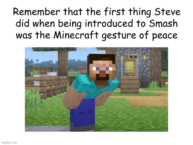 image tagged in minecraft,memes,funny | made w/ Imgflip meme maker