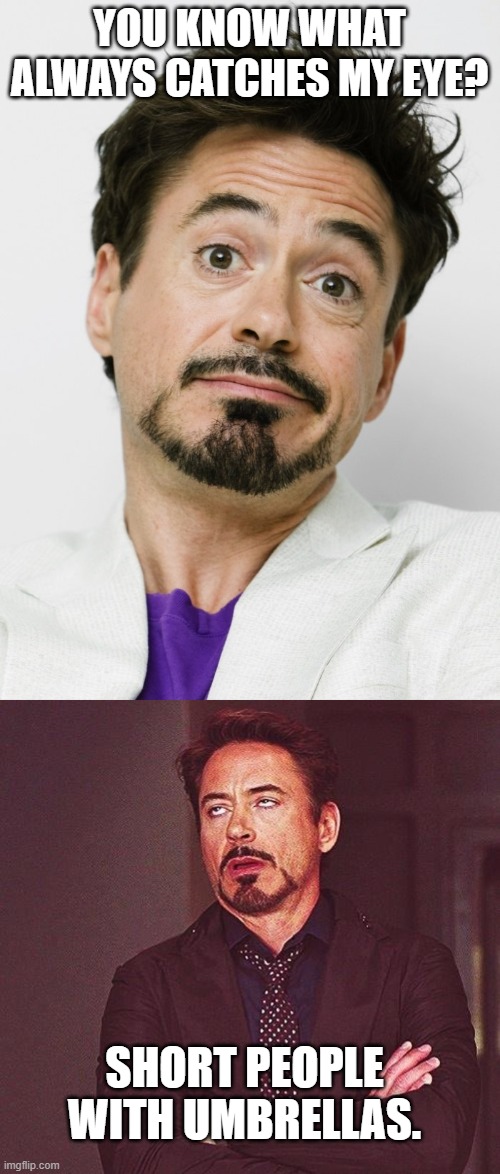 YOU KNOW WHAT ALWAYS CATCHES MY EYE? SHORT PEOPLE WITH UMBRELLAS. | image tagged in robert downey jr,robert downey jr annoyed | made w/ Imgflip meme maker