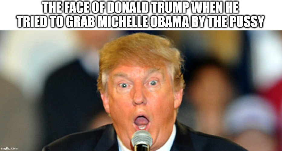 Trump | THE FACE OF DONALD TRUMP WHEN HE TRIED TO GRAB MICHELLE OBAMA BY THE PUSSY | image tagged in trump | made w/ Imgflip meme maker