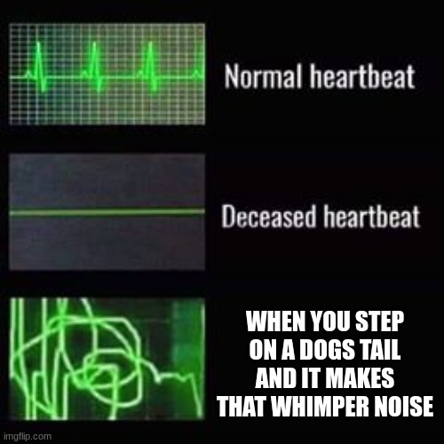 heartbeat rate | WHEN YOU STEP ON A DOGS TAIL AND IT MAKES THAT WHIMPER NOISE | image tagged in heartbeat rate | made w/ Imgflip meme maker