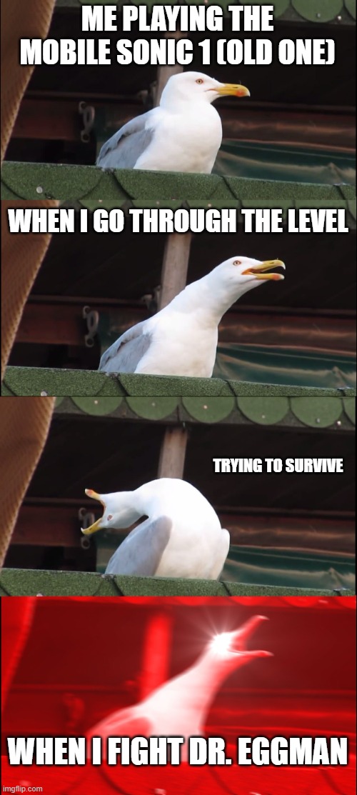 Inhaling Seagull Meme | ME PLAYING THE MOBILE SONIC 1 (OLD ONE); WHEN I GO THROUGH THE LEVEL; TRYING TO SURVIVE; WHEN I FIGHT DR. EGGMAN | image tagged in memes,inhaling seagull | made w/ Imgflip meme maker
