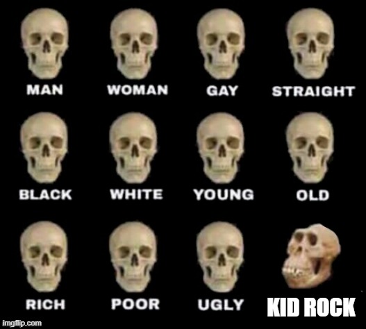 Kidiot Rock | KID ROCK | image tagged in idiot skull,kid rock | made w/ Imgflip meme maker