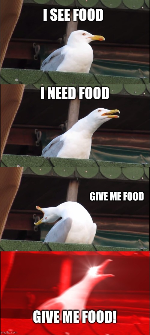 Inhaling Seagull Meme | I SEE FOOD; I NEED FOOD; GIVE ME FOOD; GIVE ME FOOD! | image tagged in memes,inhaling seagull | made w/ Imgflip meme maker
