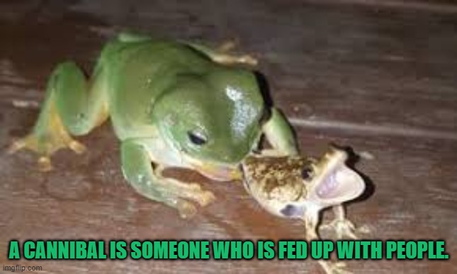 cannibal frog | A CANNIBAL IS SOMEONE WHO IS FED UP WITH PEOPLE. | image tagged in cannibal frog,memes,funny,dad joke | made w/ Imgflip meme maker