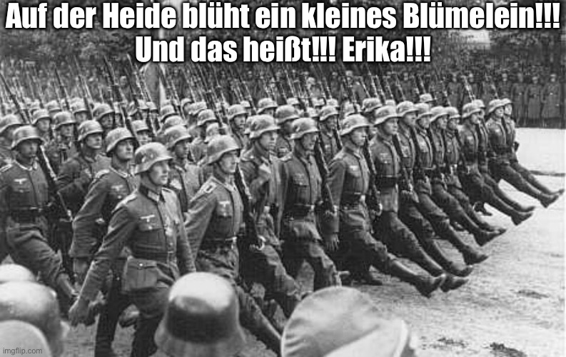 German Soldiers Marching | Auf der Heide blüht ein kleines Blümelein!!!
Und das heißt!!! Erika!!! | image tagged in german soldiers marching | made w/ Imgflip meme maker