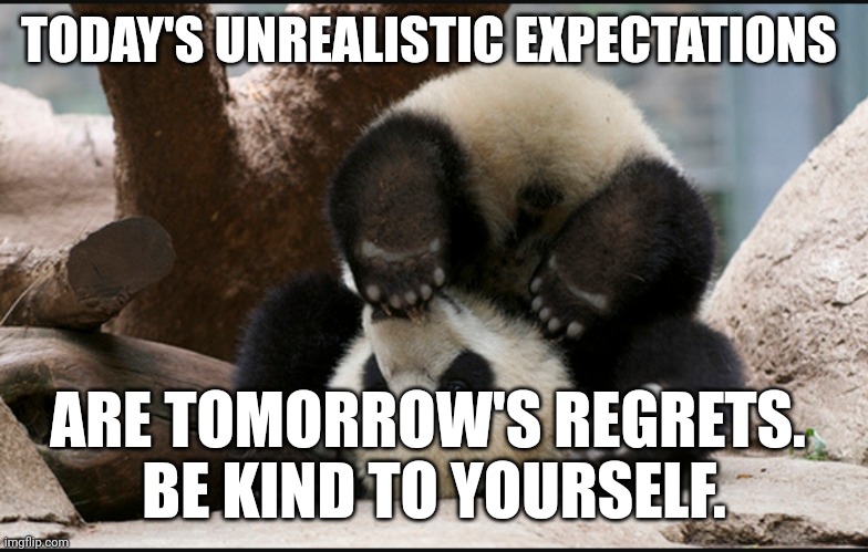 Unrealistic Expectations | TODAY'S UNREALISTIC EXPECTATIONS; ARE TOMORROW'S REGRETS. 
BE KIND TO YOURSELF. | image tagged in panda,yoga,no regrets,regrets,kindness,expectations | made w/ Imgflip meme maker