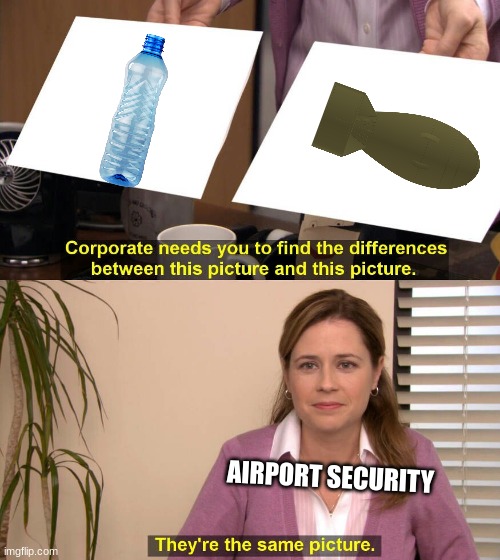 They are the same picture | AIRPORT SECURITY | image tagged in they are the same picture | made w/ Imgflip meme maker