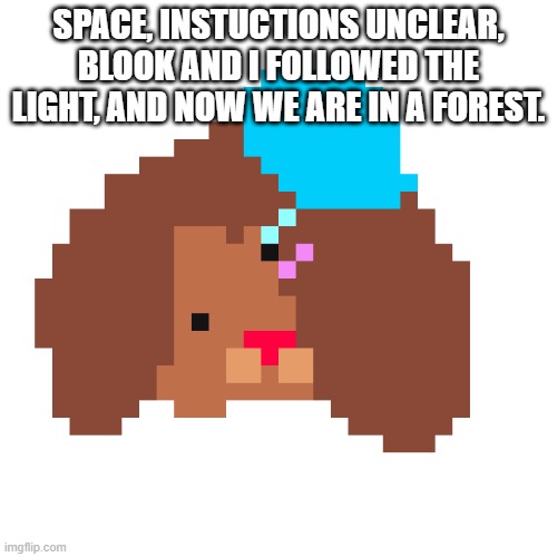 desheee | SPACE, INSTUCTIONS UNCLEAR, BLOOK AND I FOLLOWED THE LIGHT, AND NOW WE ARE IN A FOREST. | image tagged in desheee | made w/ Imgflip meme maker